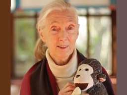 Jane Goodall